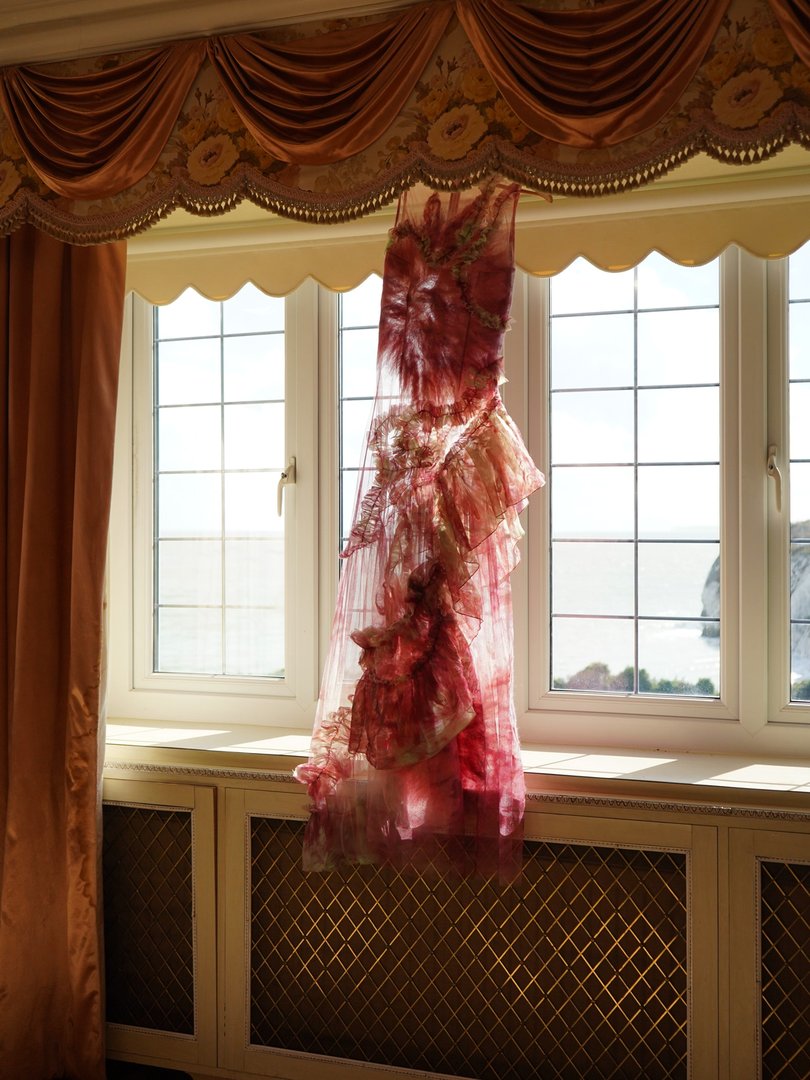 Flourishing Dress hung in a window
