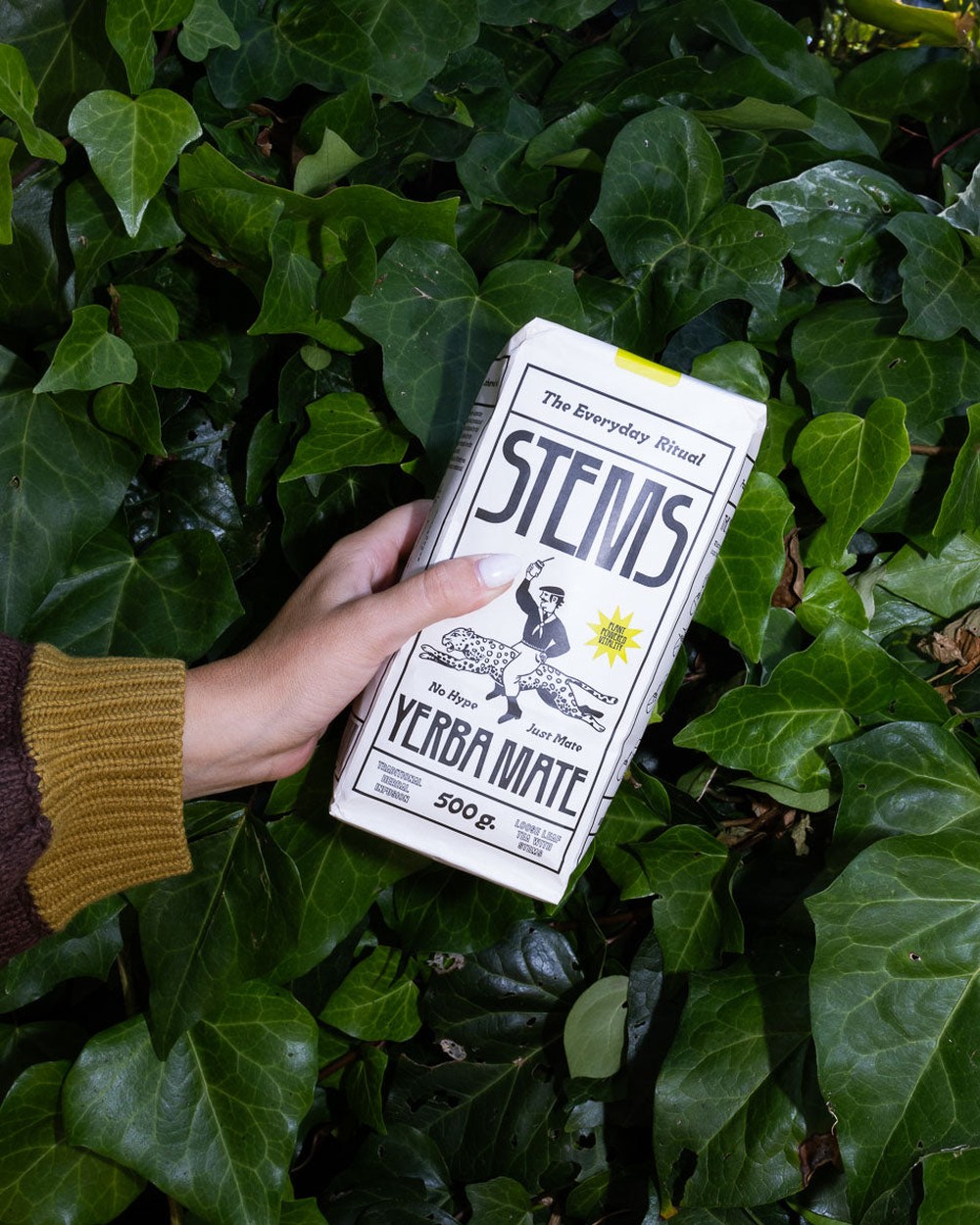 A hand holding a Stems carton against a wall of ivy