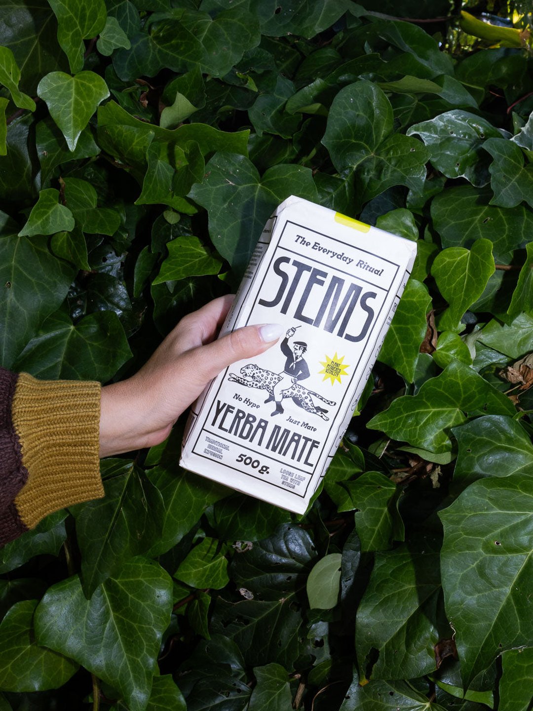 A hand holding a Stems carton against ivy