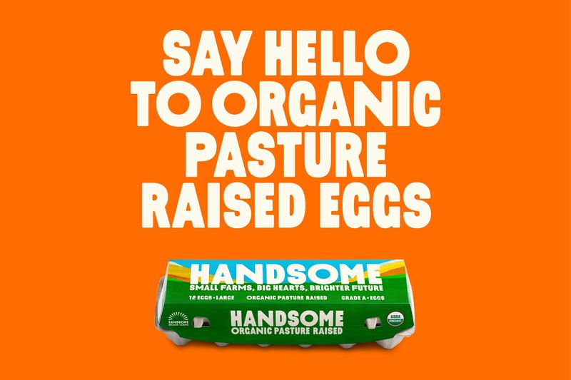 Handsome Brook Farms rebrand by Redscout: Krana Fat's rounded, slightly quirky caps on orange, with the egg carton beneath