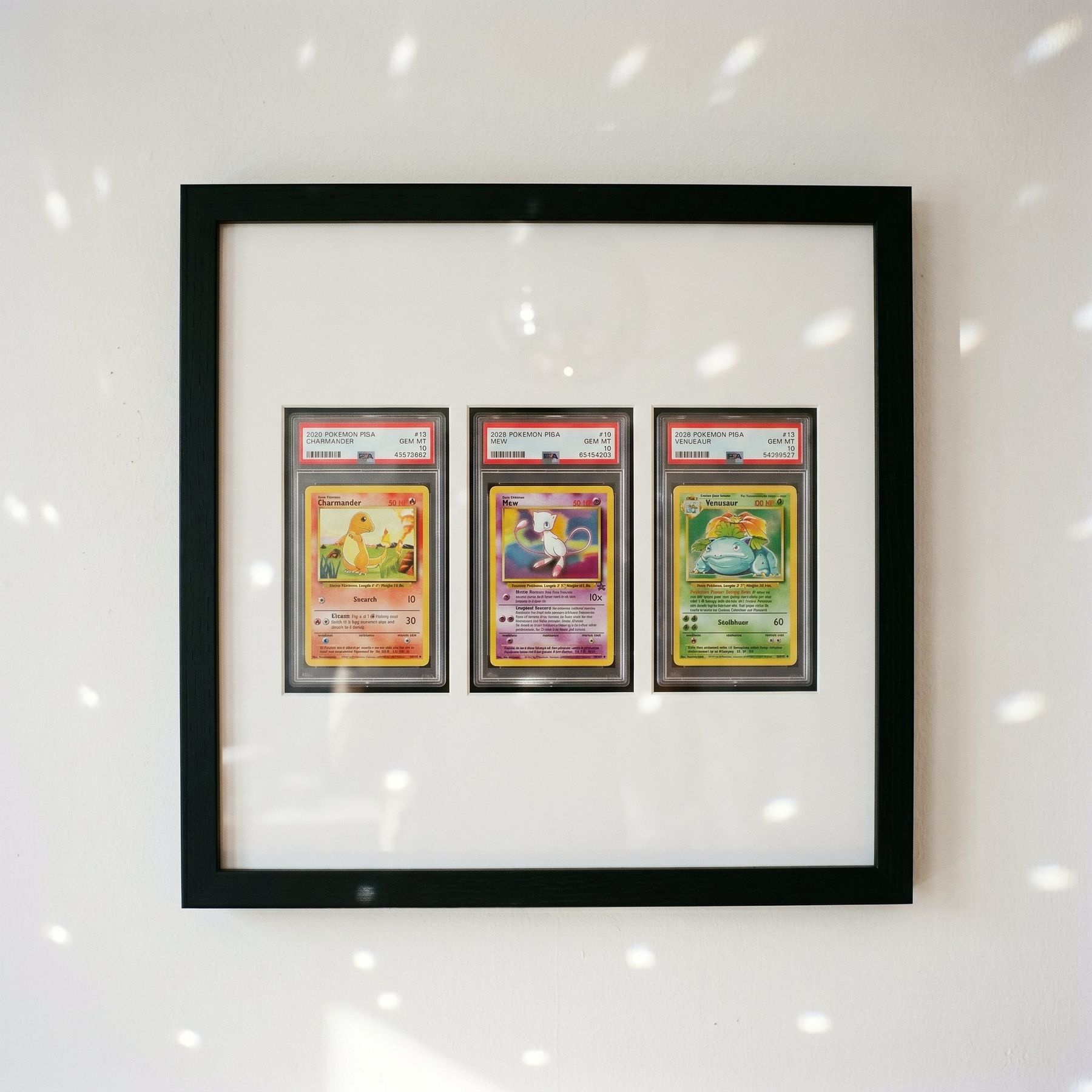 A framed set of graded trading cards on the studio wall